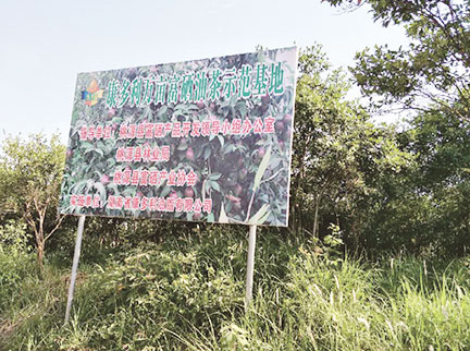 mgÓéÀÖµç×ÓÓÎÏ·ÍøÕ¾(ÖйúÓÎ)¹Ù·½ÍøÕ¾